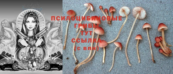 эйфоретик Алексеевка