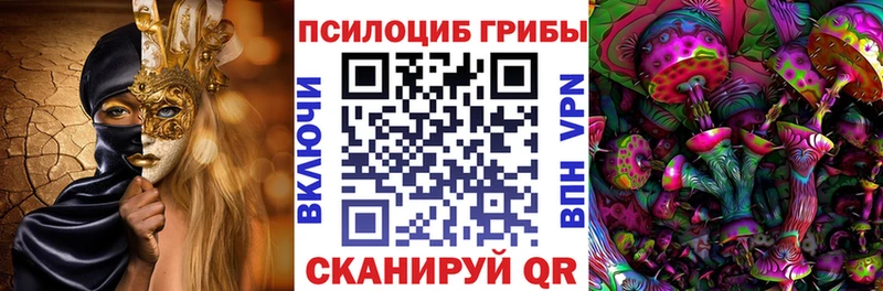 Купить закладки  Яранск  Галлюциногенные грибы мицелий 